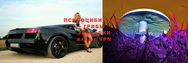 скорость Алексеевка