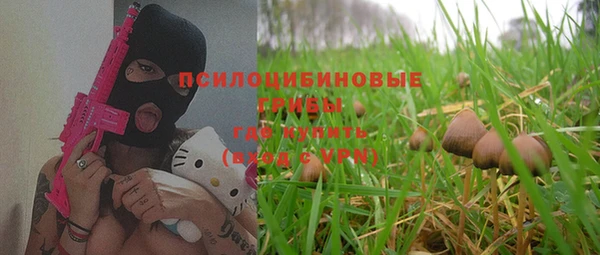 крисы Алзамай