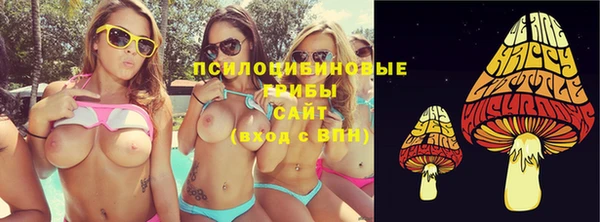 дмт Алексин