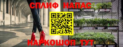 не бодяженный Аша