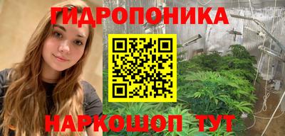 a pvp Кингисепп