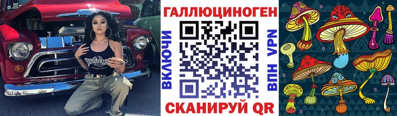 как найти закладки Кострома blacksprut ссылки Галлюциногенные грибы Magic Shrooms