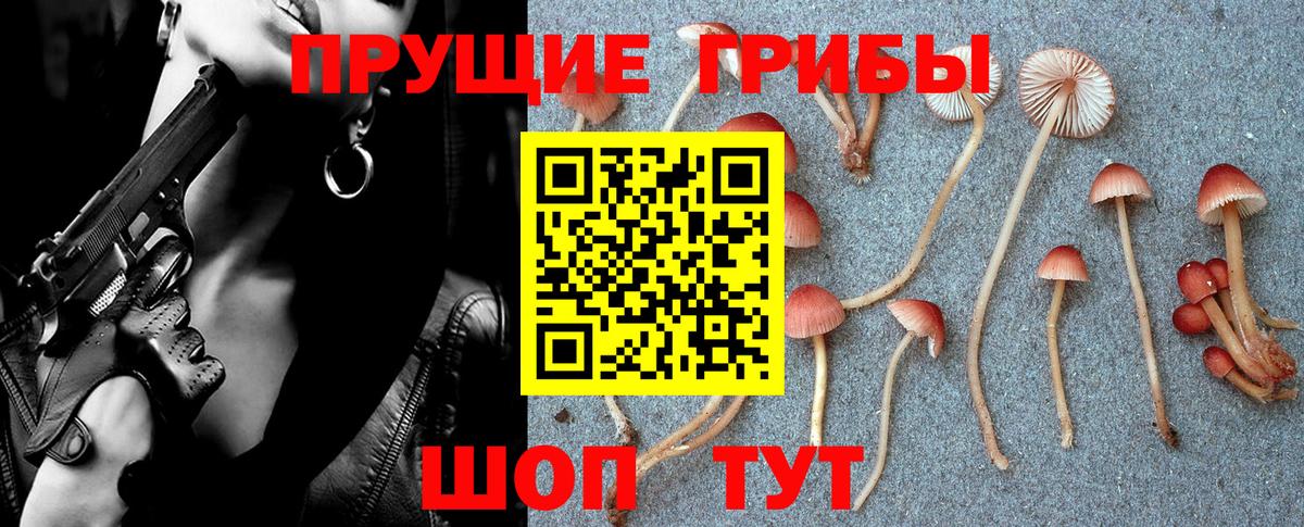 Псилоцибиновые грибы Cubensis  Вход с VPN  Псилоцибиновые грибы Magic Shrooms  Кострома 