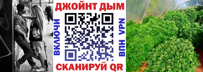 Бошки Шишки план  Кострома 